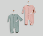 سالوبيت خريفي زهور